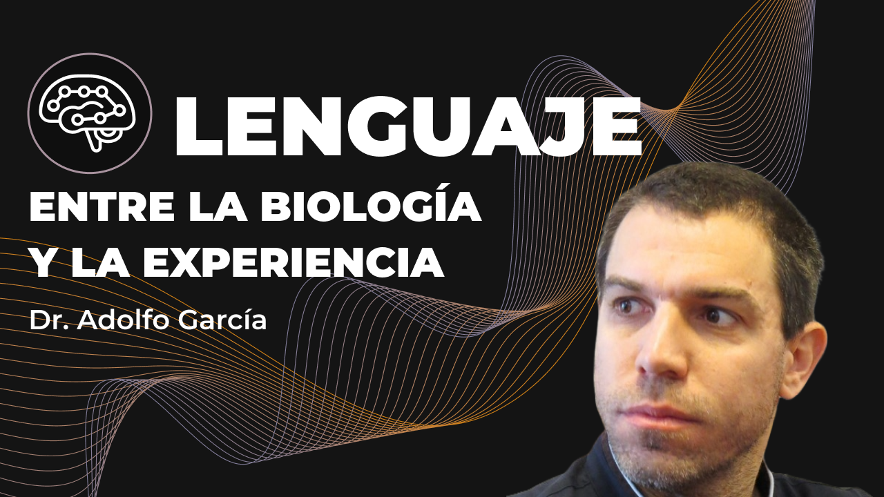 Imagen del articulo