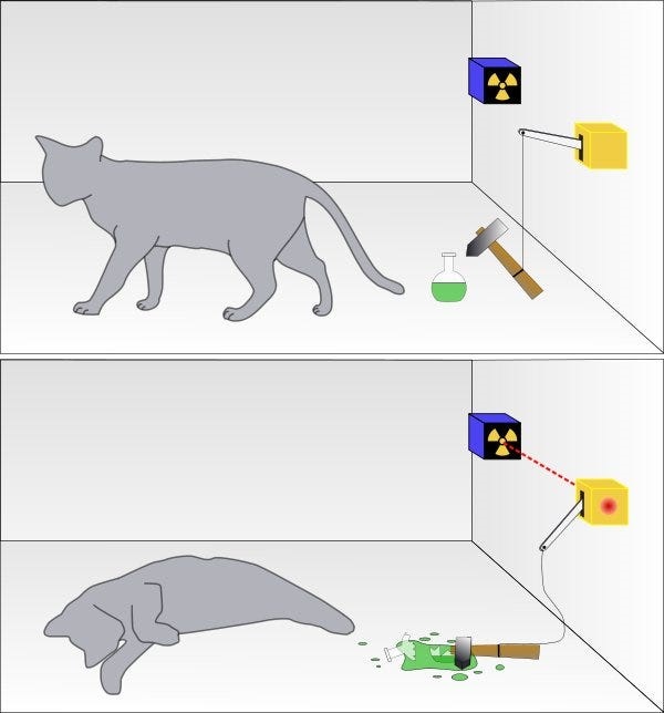 Experimento mental de Schrödinger